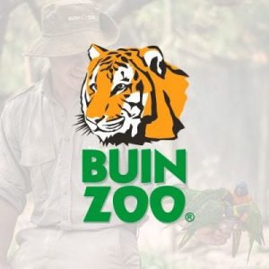 buinzoo
